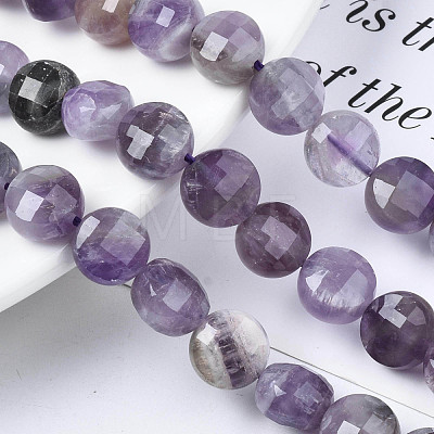 Natural Amethyst Beads Strands G-S359-371-1