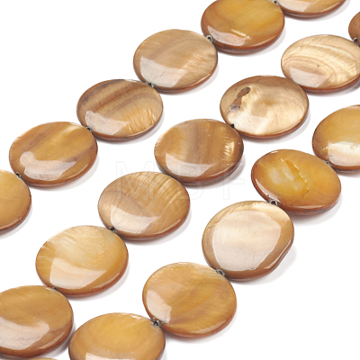 Natural Freshwater Shell Beads BSHE-I011-01A-01-1