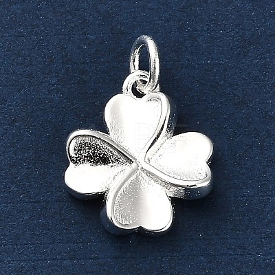 925 Sterling Silver Charms FIND-Z069-04S-C-1