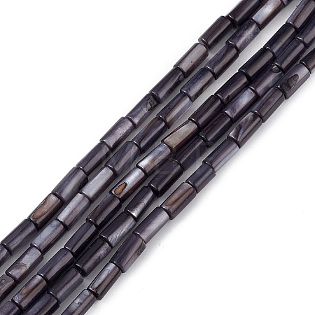 Natural Freshwater Shell Dyed Beads Strands SHEL-M018-11-09-1