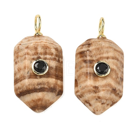 Natural Picture Jasper Pendants KK-CBAF9BC-20G-05-1