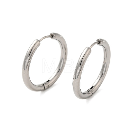 Tarnish Resistant 304 Stainless Steel Hoop Earrings EJEW-P177-P-24-1