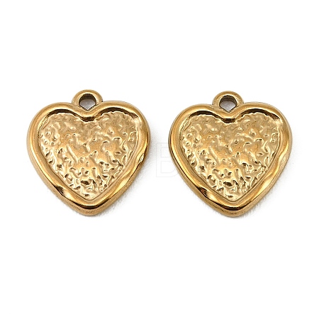 304 Stainless Steel Pendants STAS-Z198-01G-1