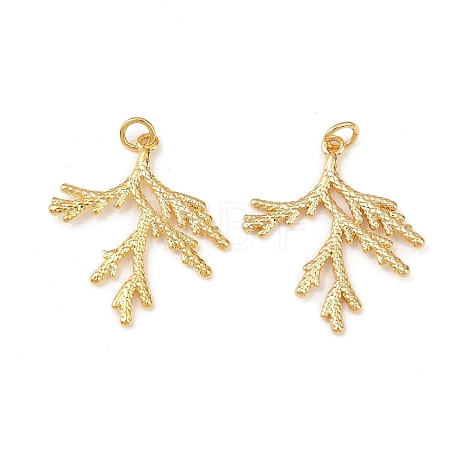 Brass Pendants KK-L255-01G-02-1