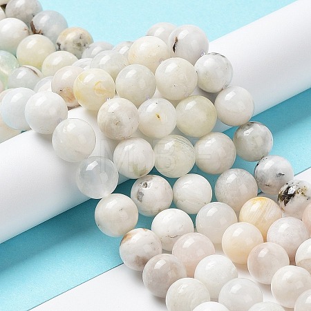 Natural Rainbow Moonstone Beads Strands G-N328-024-10mm-1