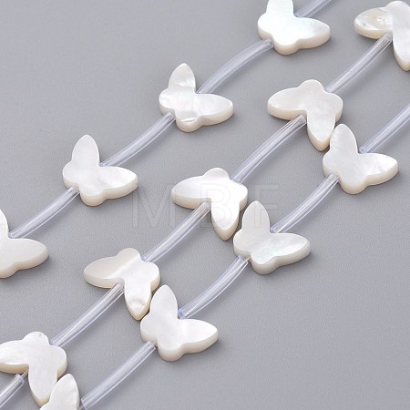 Natural White Shell Mother of Pearl Shell Beads SSHEL-L018-013-1