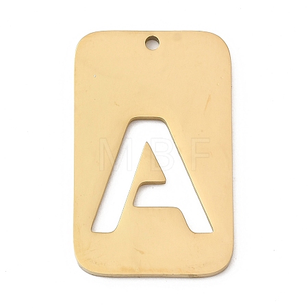 304 Stainless Steel Pendants STAS-D200-01A-G-1