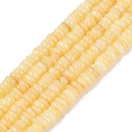 Natural Freshwater Shell Beads Strands SHEL-Q028-01B-1