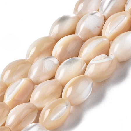 Natural Trochid Shell/Trochus Shell Beads Strands SSHEL-S266-021B-02-1