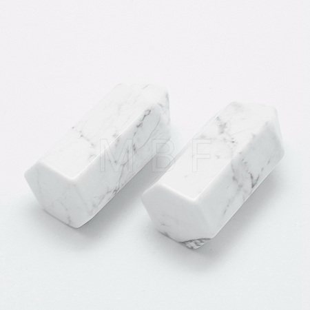 Natural Howlite Pointed Beads G-G760-K14-1