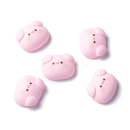Resin Cabochons X-RESI-C008-02-1