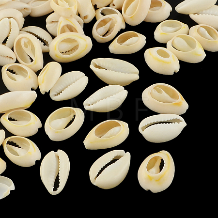 Natural Mixed Cowrie Shell Beads BSHE-S053-01-1