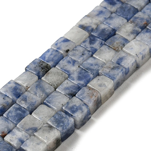 Natural Blue Spot Jasper Beads Strands G-C129-A03-01-1