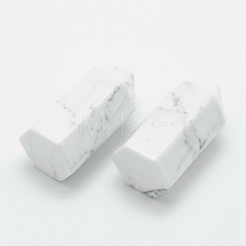 Natural Howlite Pointed Beads G-G760-K14-1