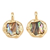 Brass Natural Paua Shell Irregular Pendants KK-I453-01G-01-1