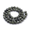 Natural Green Zebra Jasper Beads Strands G-S259-34-8mm-2