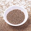 MIYUKI Delica Beads SEED-MY11-DB1221-2