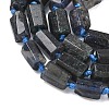 Natural Iolite Beads Strands G-C270-K06-4