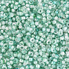 Baking Paint Glass Seed Beads SEED-Q041-03A-03-3