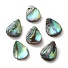 Natural Paua Shell Beads SSHEL-F305-02B-1