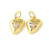 Brass Micro Pave Cubic Zirconia Pendants KK-U067-10G-04-1