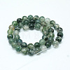 Natural Moss Agate Beads Strands X-G-I199-06-4mm-2