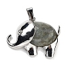 Natural Labradorite Pendants G-G112-01P-06-1