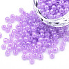 6/0 Imitation Jade Glass Seed Beads X1-SEED-N004-006-03-1