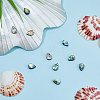 10Pcs Abalone Shell/Paua Shell Beads SSHEL-FI0001-01-4