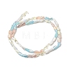 Electroplate Glass Beads EGLA-D300-01A-06-2