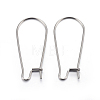 304 Stainless Steel Hoop Earring Findings STAS-P223-01P-05-1