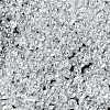 MIYUKI 3.4mm Drop Beads X-SEED-MY04-DP160-2