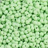 Baking Paint Glass Seed Beads X1-SEED-K010-A18-2