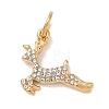 Autumn 304 Stainless Steel Pendants STAS-C180-01D-G-1