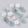 Frosted Transparent Acrylic Beads OACR-N137-72L-2