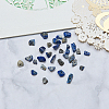 Natural Lapis Lazuli Chip Beads G-CJ0001-25-6