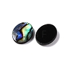 Natural Paua Shell Epoxy Resin Cabochons SSHEL-S279-01G-2