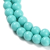 Synthetic Turquoise Beads Strands G-U004-02N-4