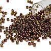 TOHO 6/0 Round Beads SEED-TR06-0514-1