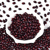 Glass Seed Beads SEED-T009-02D-1