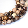 Natural Zebra Jasper Round Bead Strands X-G-E334-6mm-12-1