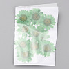 Pressed Dried Flowers DIY-WH0308-412H-1-2