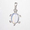 Tortoise Opalite Pendants G-D648-03-RS-2