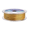 Round Nylon Coated Steel Wire TWIR-T002-01B-12-1