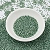MIYUKI Delica Beads SEED-JP0008-DB2190-2