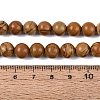 Natural Wooden Jasper/Wood Lace Stone Beads Strands G-Q601-13A-04-5