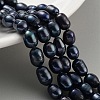 Dyed Natural Cultured Freshwater Pearl Beads Strands PEAR-P062-08C-2