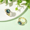 Paua Shell Finger Rings for Women RJEW-JR01101-01-1