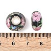 Lampwork & Brass Core European Beads LAMP-P019-01P-22-3
