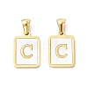 Ion Plating(IP) 304 Stainless Steel Pave Shell Pendants STAS-G327-01G-C-1